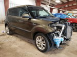 2013 Kia Soul  Brown vin: KNDJT2A57D7549905