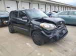 2013 Kia Soul  Black vin: KNDJT2A57D7603719