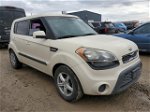 2013 Kia Soul  Кремовый vin: KNDJT2A58D7583108