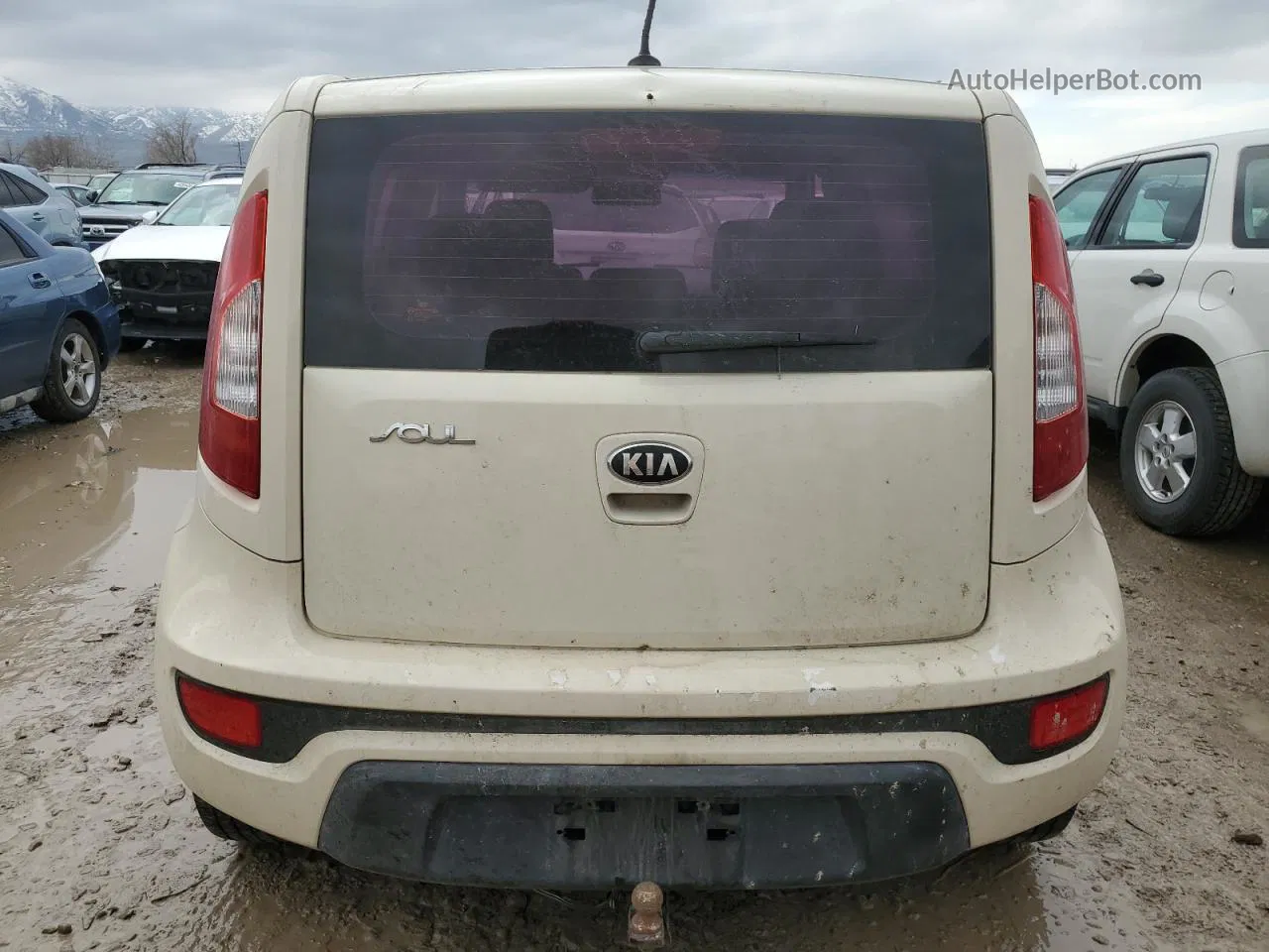 2013 Kia Soul  Кремовый vin: KNDJT2A58D7583108