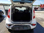 2013 Kia Soul  White vin: KNDJT2A5XD7555701