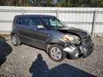 2013 Kia Soul  Серый vin: KNDJT2A5XD7578878