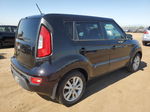 2013 Kia Soul + Black vin: KNDJT2A63D7568394