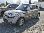 2013 Kia Soul + Желто-коричневый vin: KNDJT2A64D7560109