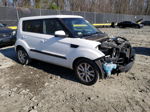 2013 Kia Soul + White vin: KNDJT2A65D7563844