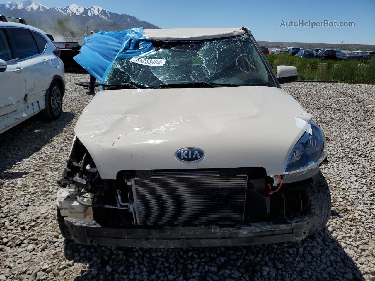 2013 Kia Soul + Кремовый vin: KNDJT2A66D7759159