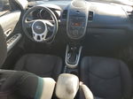 2012 Kia Soul + Black vin: KNDJT2A69C7739082