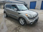 2013 Kia Soul + Gray vin: KNDJT2A69D7561563