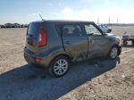 2013 Kia Soul + Коричневый vin: KNDJT2A6XD7493208