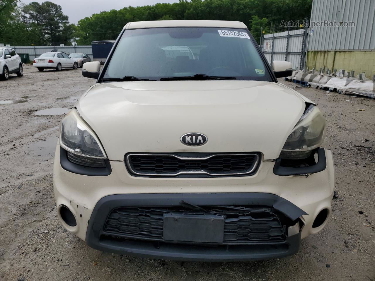 2013 Kia Soul + Кремовый vin: KNDJT2A6XD7765823