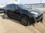 2020 Kia Sportage S Черный vin: KNDP6CAC4L7769541