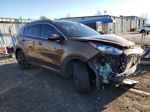 2020 Kia Sportage S Orange vin: KNDP6CAC6L7775082