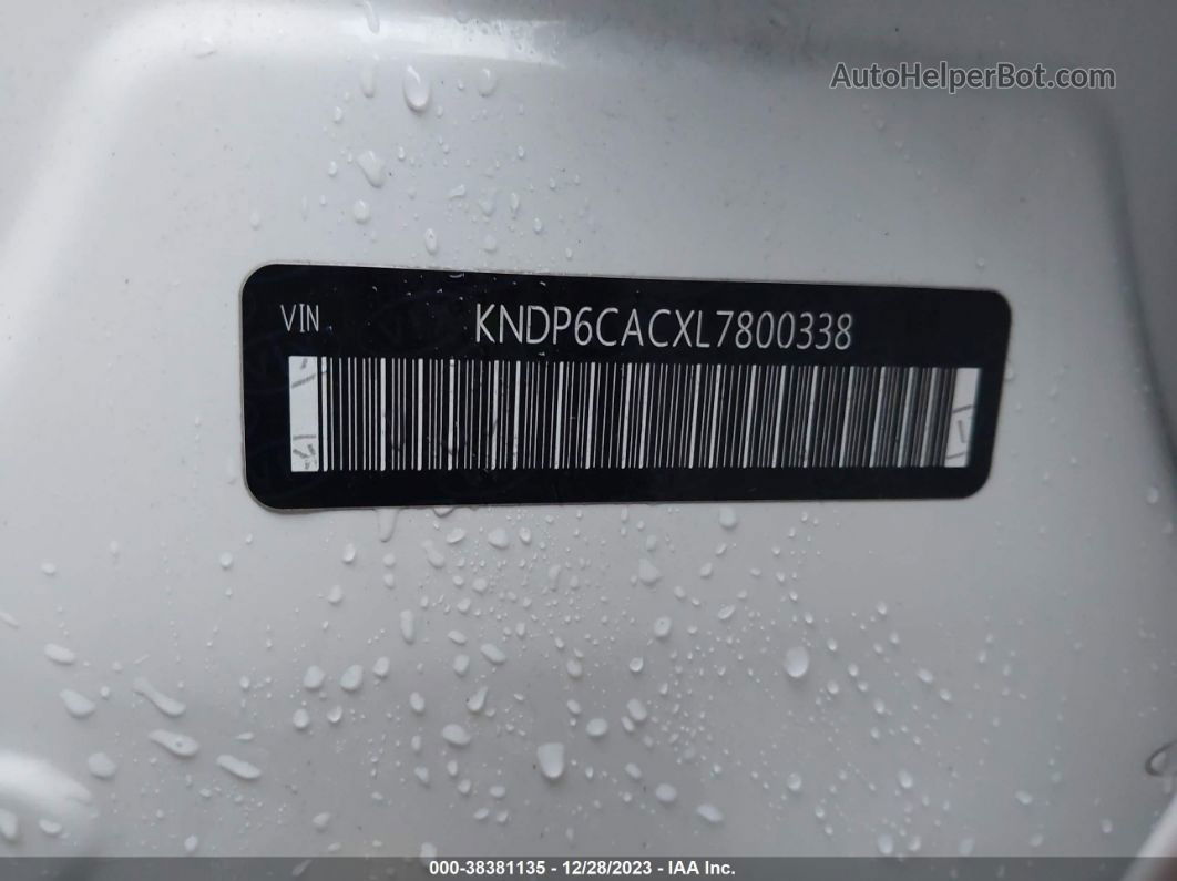 2020 Kia Sportage S White vin: KNDP6CACXL7800338