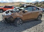 2020 Kia Sportage Lx Brown vin: KNDPM3AC0L7754069