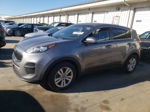 2017 Kia Sportage Lx Серый vin: KNDPM3AC1H7226516