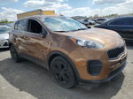 2017 Kia Sportage Lx Tan vin: KNDPM3AC1H7233305