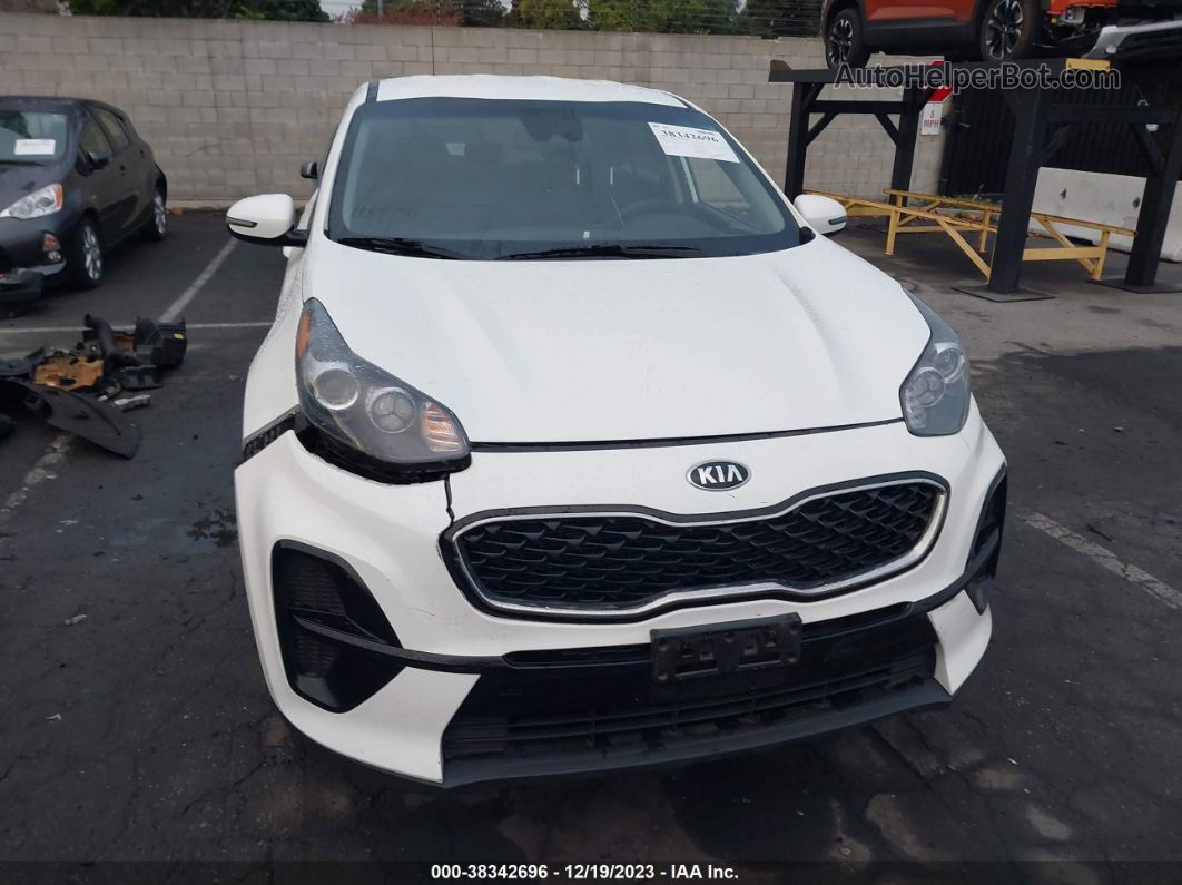 2020 Kia Sportage Lx Белый vin: KNDPM3AC1L7762231