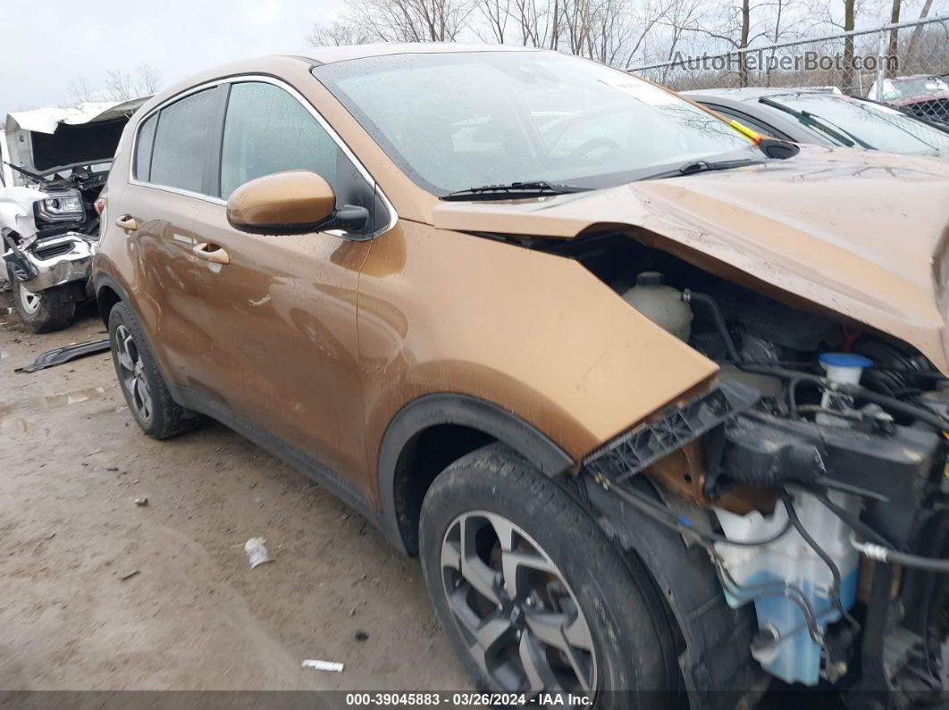 2020 Kia Sportage Lx Коричневый vin: KNDPM3AC1L7798341