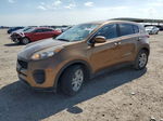 2017 Kia Sportage Lx Коричневый vin: KNDPM3AC2H7106420