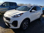 2020 Kia Sportage Lx Белый vin: KNDPM3AC2L7712938