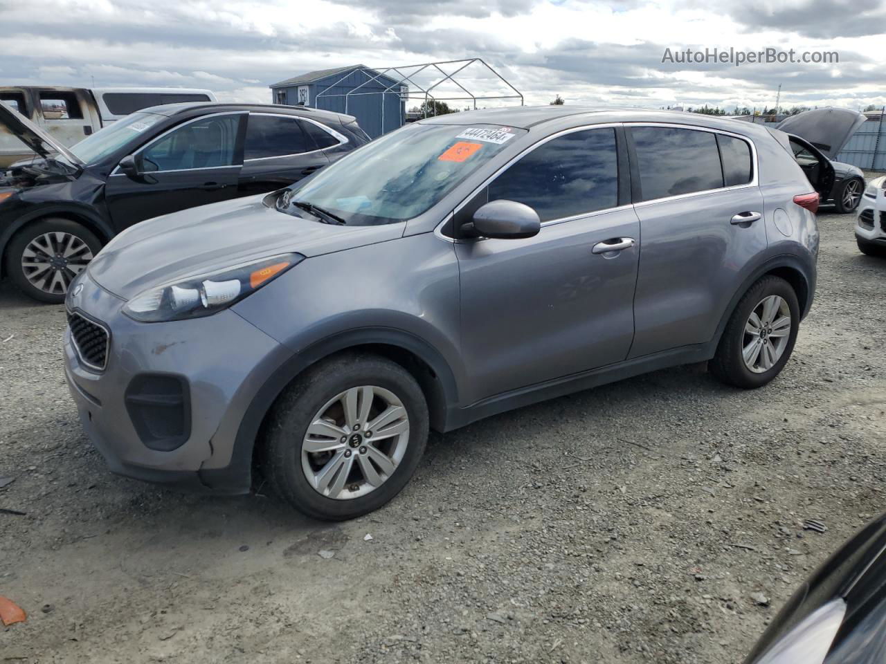 2017 Kia Sportage Lx Серый vin: KNDPM3AC3H7086758