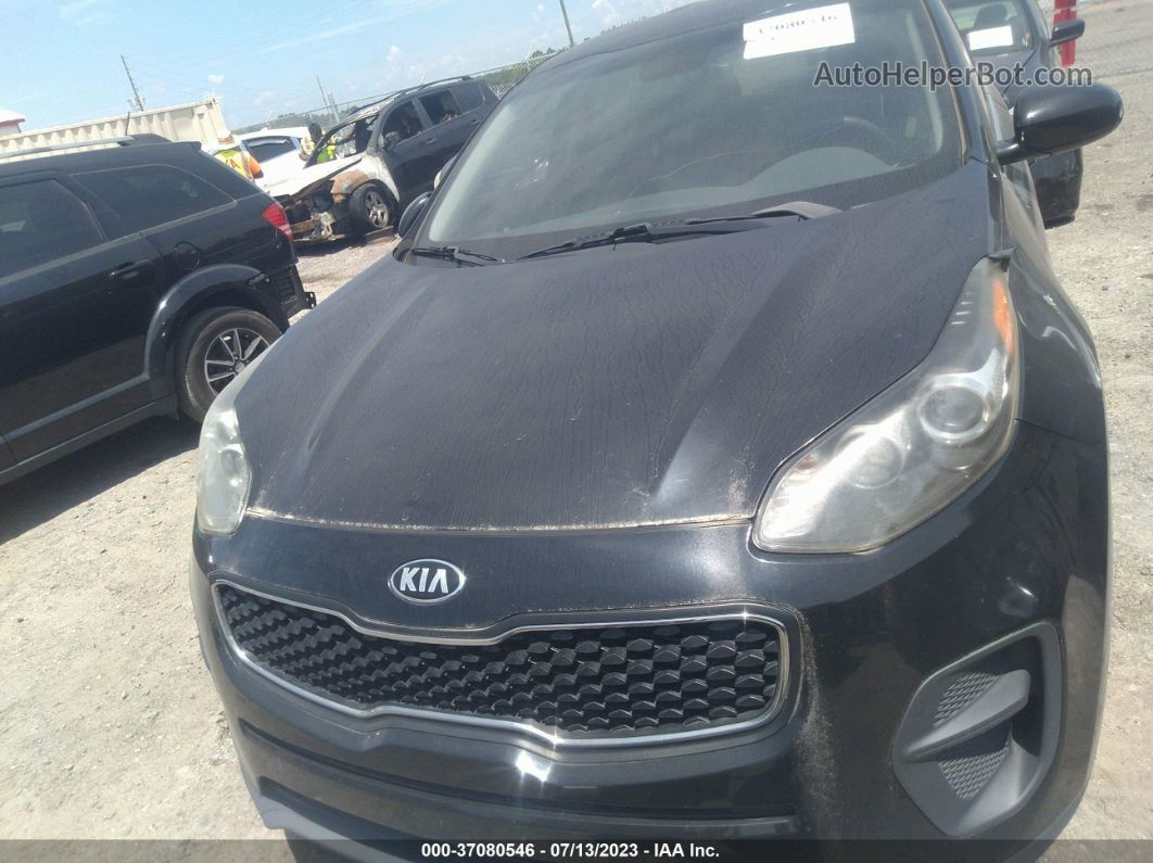 2017 Kia Sportage Lx Black vin: KNDPM3AC3H7102327