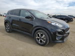 2020 Kia Sportage Lx Black vin: KNDPM3AC3L7640096