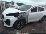 2020 Kia Sportage Lx Белый vin: KNDPM3AC3L7641555