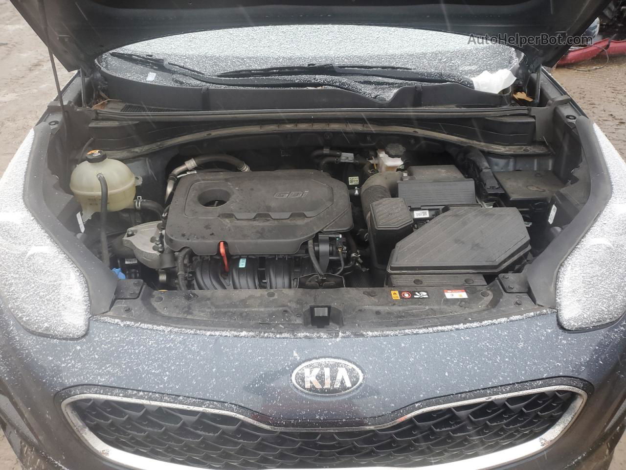 2020 Kia Sportage Lx Blue vin: KNDPM3AC4L7779752