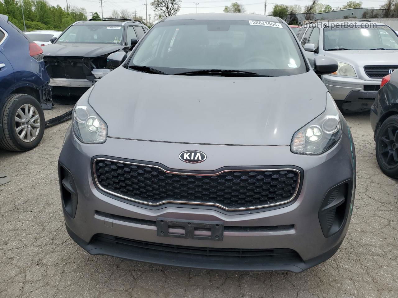 2017 Kia Sportage Lx Серый vin: KNDPM3AC5H7226745