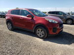 2017 Kia Sportage Lx Красный vin: KNDPM3AC6H7135743