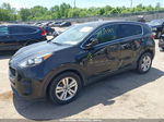 2017 Kia Sportage Lx Black vin: KNDPM3AC8H7192557