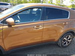 2020 Kia Sportage Lx Brown vin: KNDPM3AC8L7789538