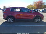 2017 Kia Sportage Lx Красный vin: KNDPM3AC9H7038147