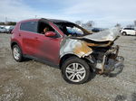 2017 Kia Sportage Lx Burn vin: KNDPM3AC9H7211245