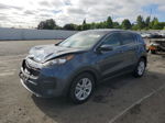 2017 Kia Sportage Lx Синий vin: KNDPM3AC9H7232869