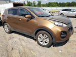 2017 Kia Sportage Lx Brown vin: KNDPMCAC0H7033127