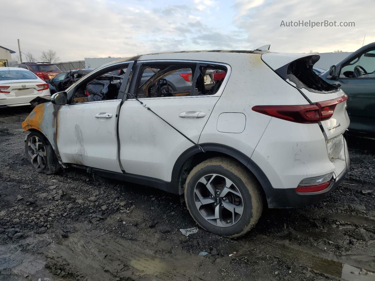 2020 Kia Sportage Lx Белый vin: KNDPMCAC0L7672228