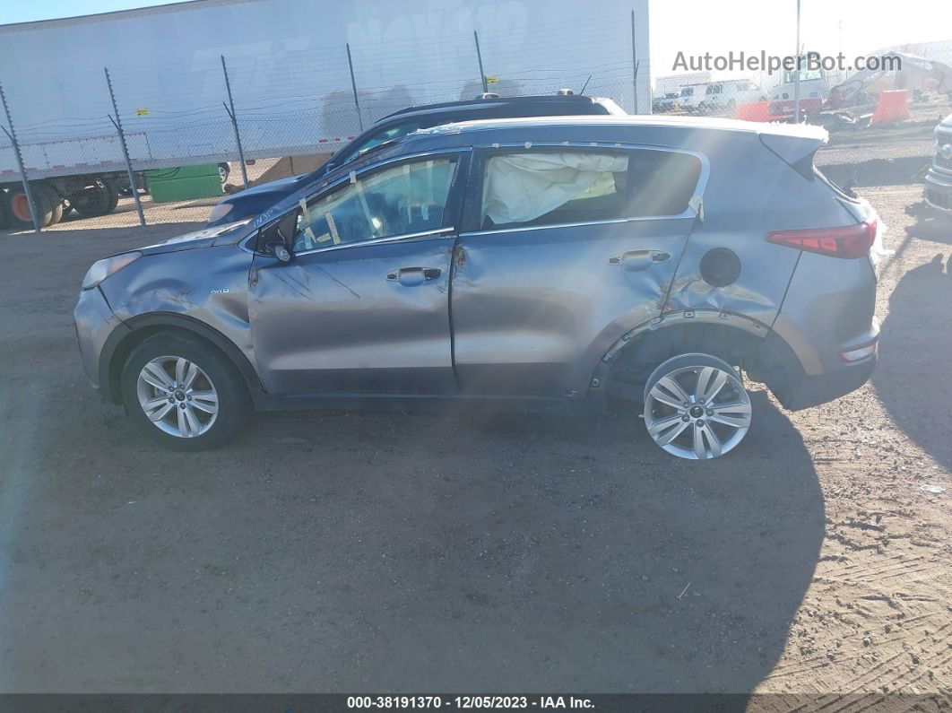 2017 Kia Sportage Lx Серый vin: KNDPMCAC1H7128229