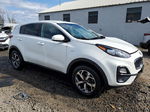 2020 Kia Sportage Lx Белый vin: KNDPMCAC1L7672397