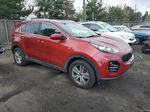 2017 Kia Sportage Lx Red vin: KNDPMCAC2H7201947