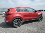 2020 Kia Sportage Lx Красный vin: KNDPMCAC3L7824860