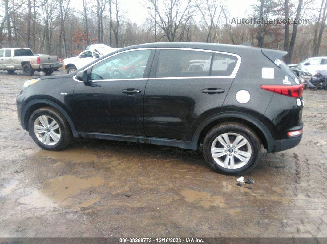 2017 Kia Sportage Lx Black vin: KNDPMCAC7H7056100