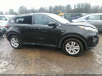 2017 Kia Sportage Lx Black vin: KNDPMCAC7H7056100