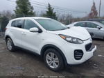 2017 Kia Sportage Lx Белый vin: KNDPMCAC7H7187477