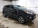 2020 Kia Sportage Lx Черный vin: KNDPMCAC7L7638514