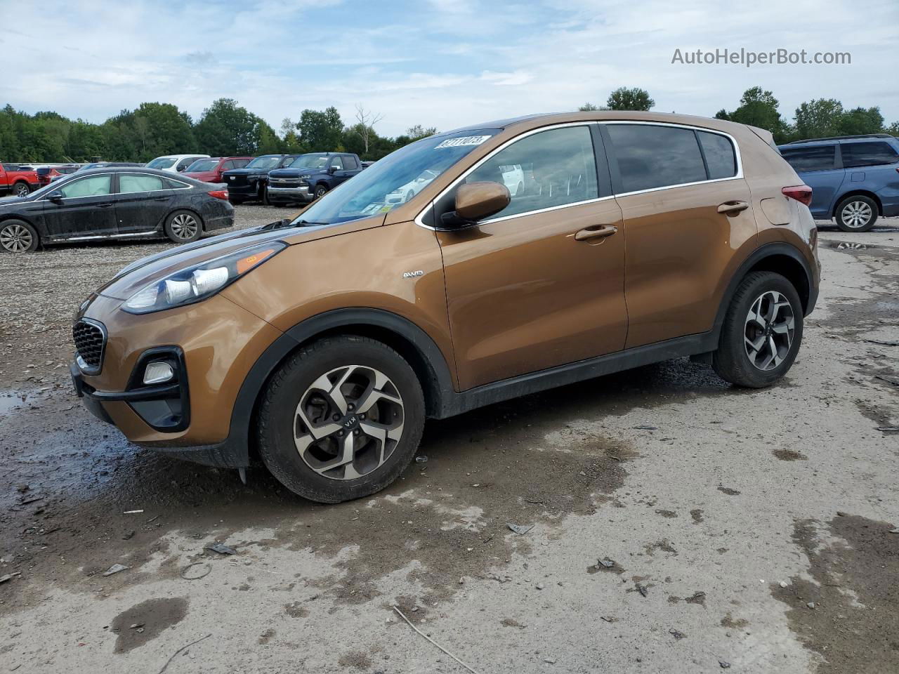 2020 Kia Sportage Lx Коричневый vin: KNDPMCAC7L7815563