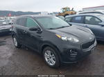 2017 Kia Sportage Lx Black vin: KNDPMCAC8H7297907