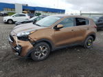 2020 Kia Sportage Lx Gold vin: KNDPMCAC8L7731610