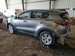 2017 Kia Sportage Lx Gray vin: KNDPMCAC9H7063405